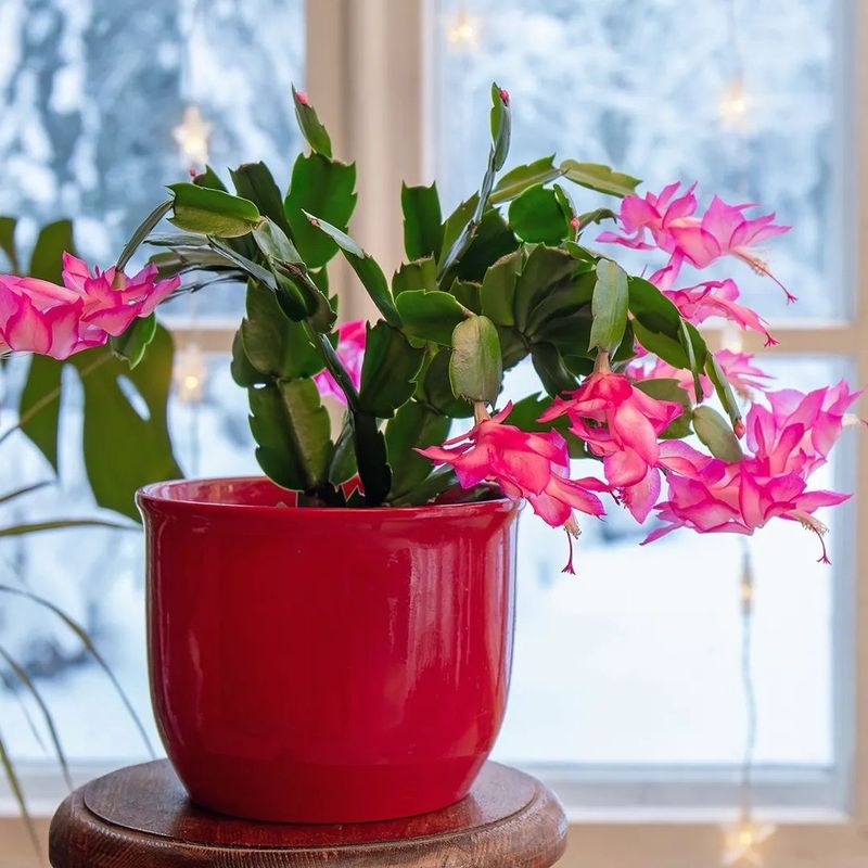 Easy Access To Fresh Water During Routine Kitchen Tasks