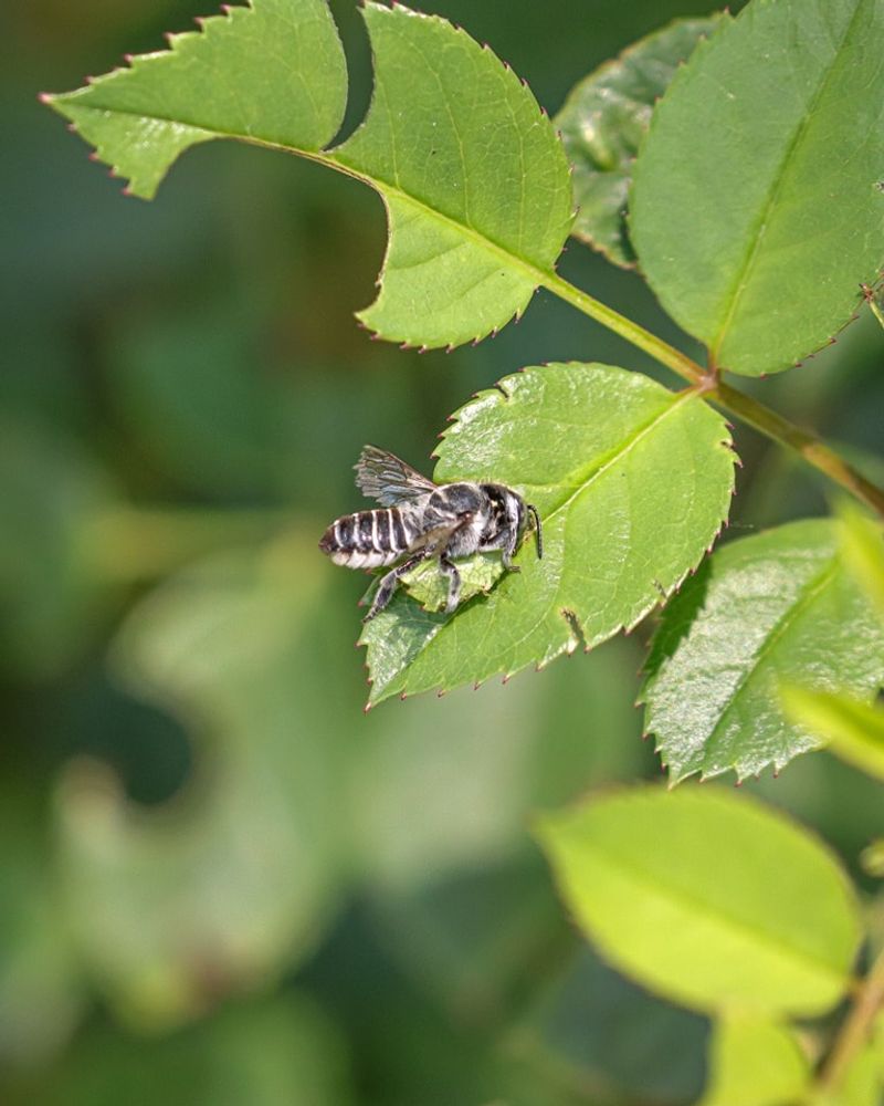 Skip Fall And Winter Pesticide Applications