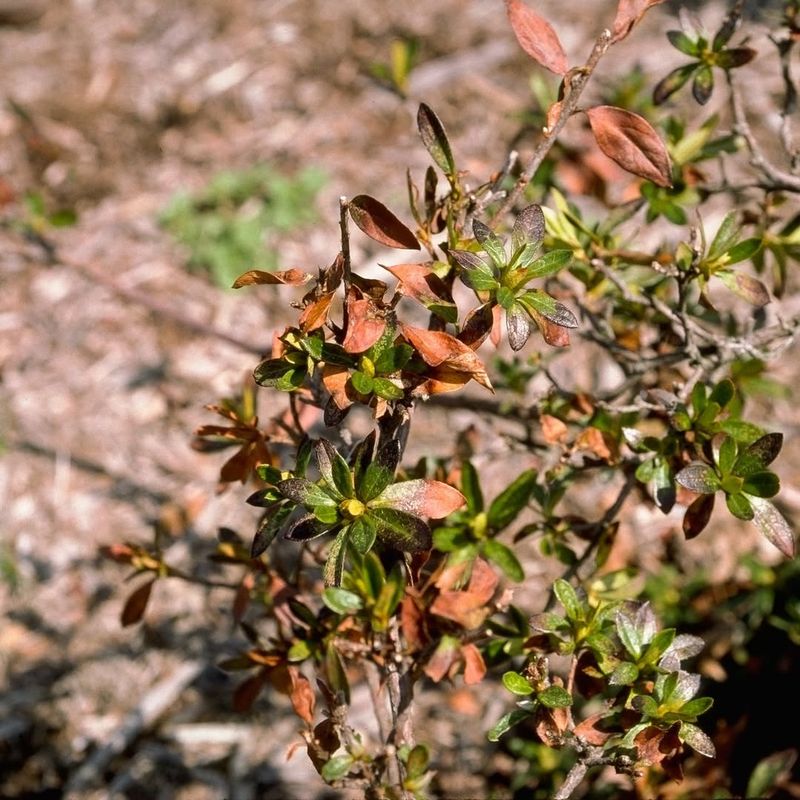 Monitor And Adjust Protection Methods Annually