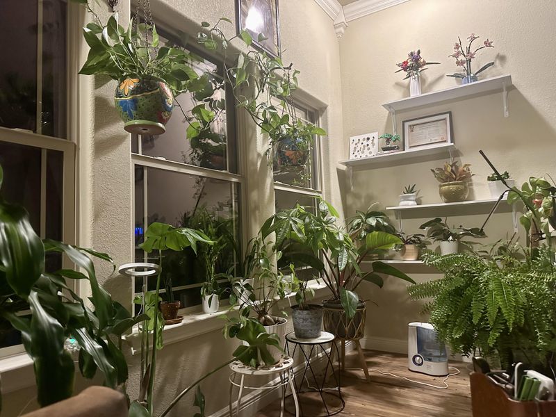 Monitor For Pests Throughout Winter Months