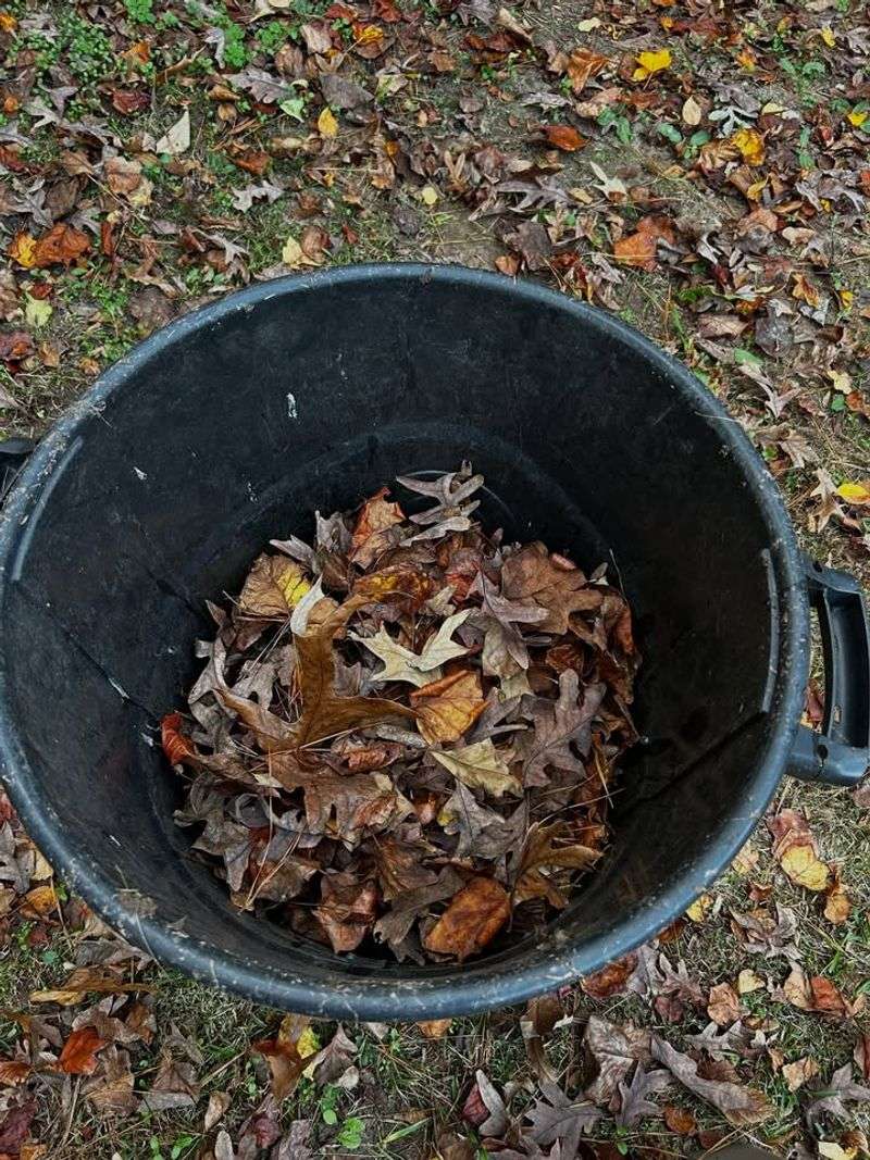 Starting Compost Bins Builds Nutrient-Rich Soil