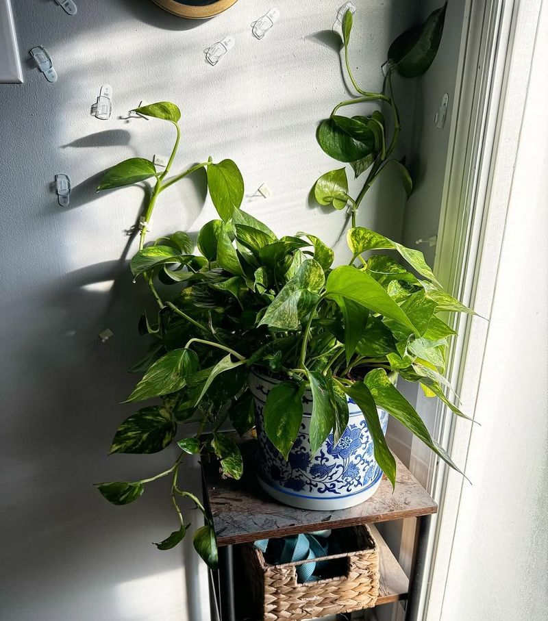 Grows Fast Enough To Stay Interesting