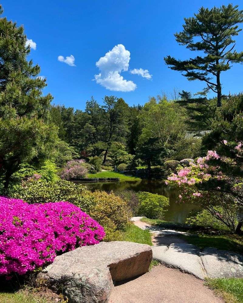 Rich History Connects Past And Present