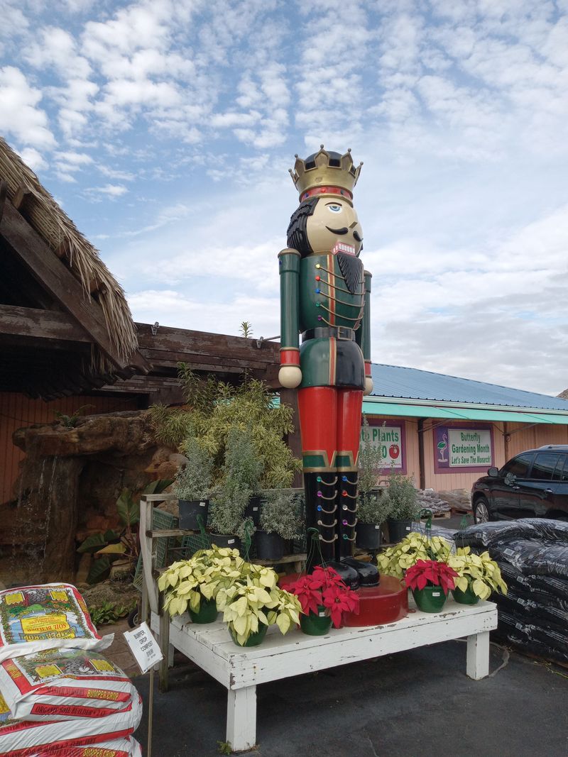 Flamingo Road Nursery