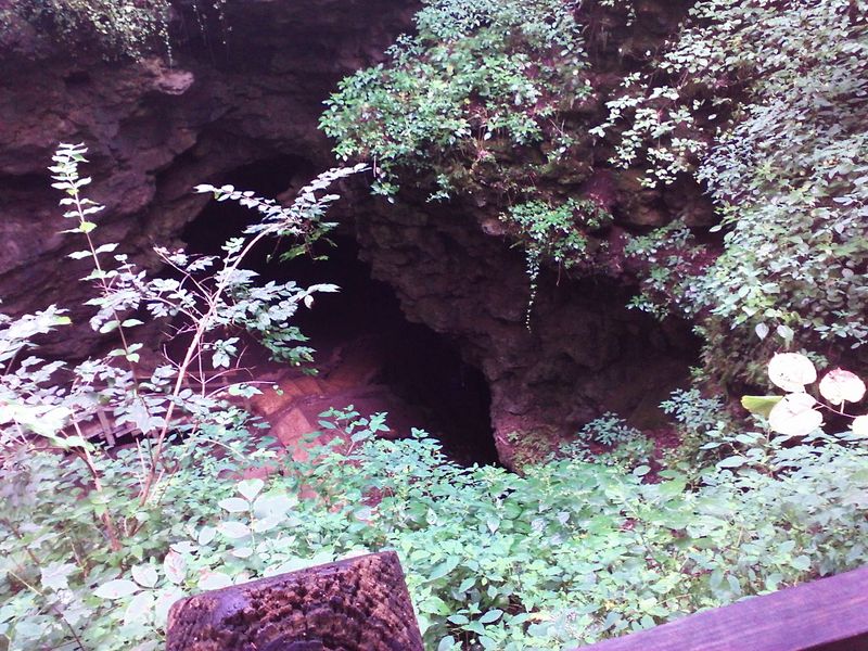Maquoketa River Bottomlands Near Maquoketa