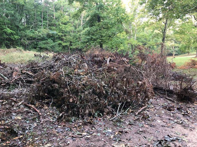Brush Piles Provide Essential Shelter