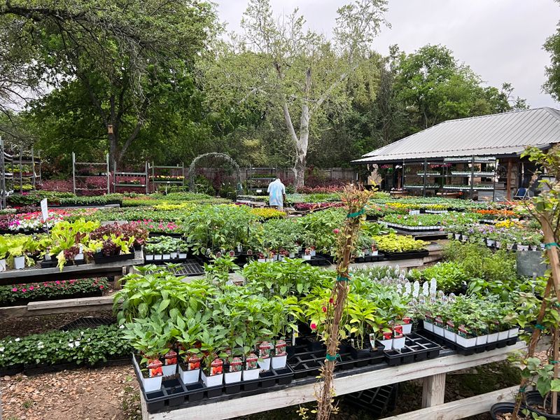 Leaf Landscape Supply Supports Austin Gardeners With Drought-Tolerant Inventory