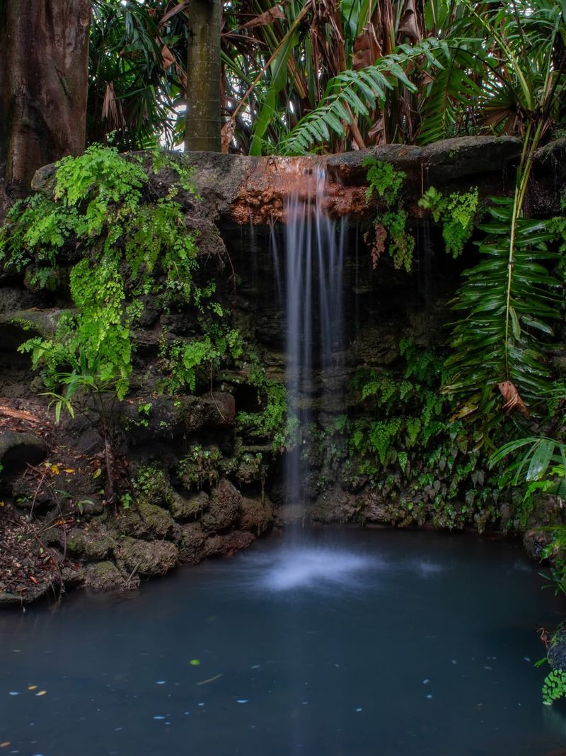 Sunken Garden Offering Peaceful Water Views