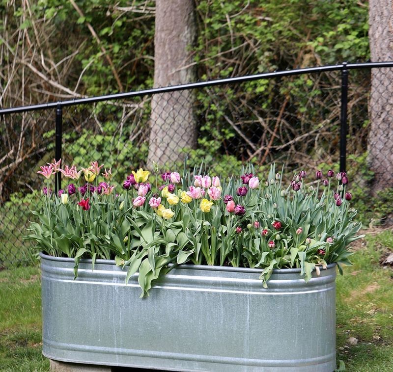 Stunning Flower Displays