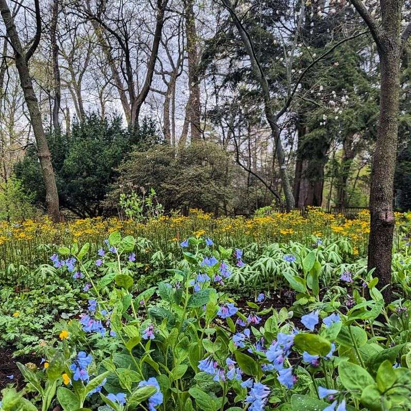 Community Events Bring People Together