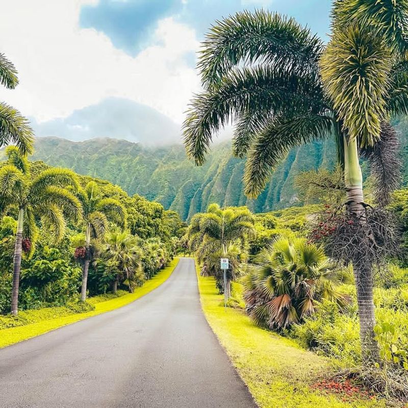 Peaceful Walking Trails Through Lush Landscapes