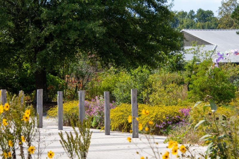 Adkins Arboretum Celebrates Native Plant Beauty