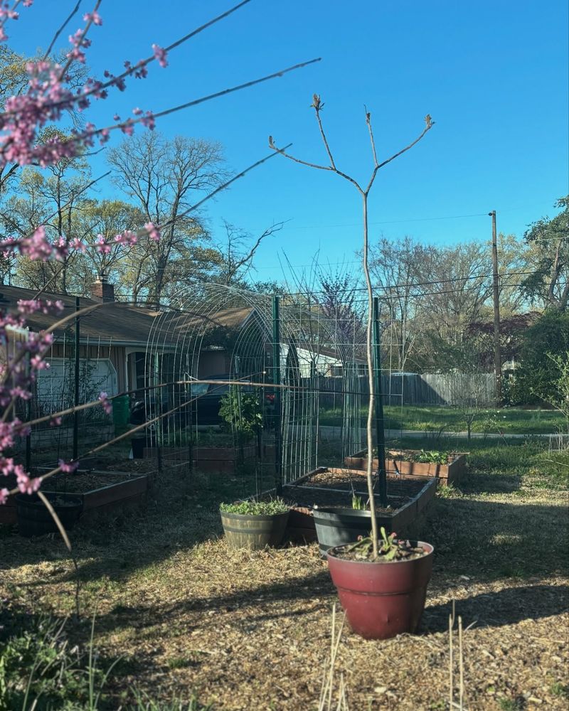 Application Deadlines Vary by County and Season