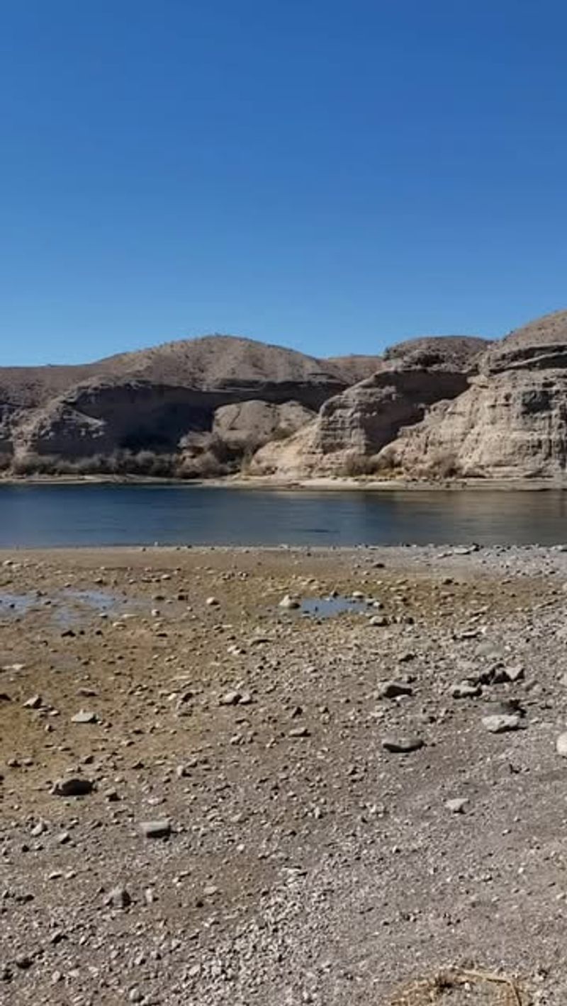 Climate Reality Is Driving Change