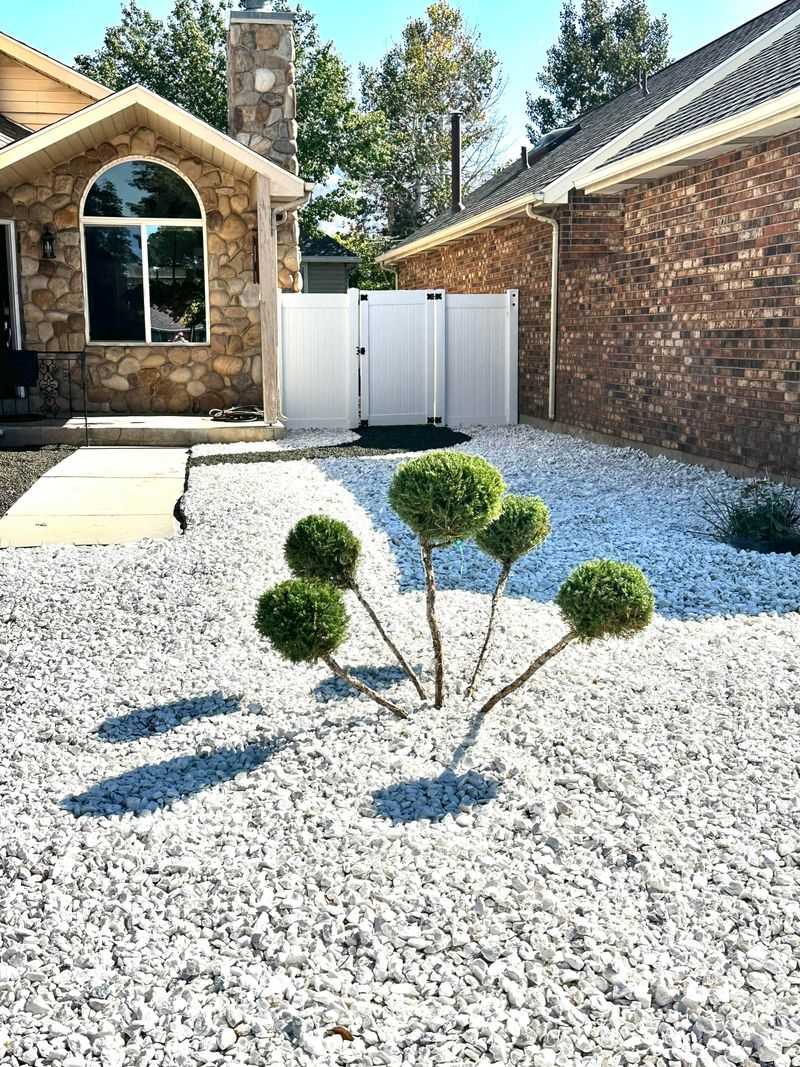 Preparing Your Yard For Texas's Long-Term Water Conservation Future