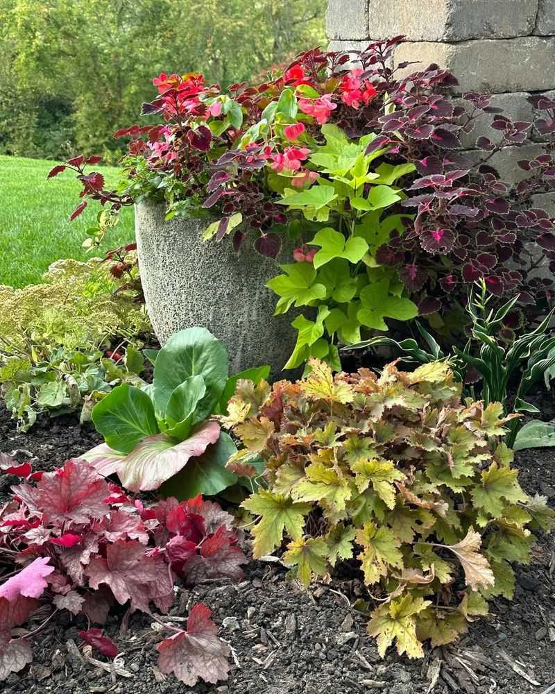 Relocate Plants to Match Sunlight Requirements