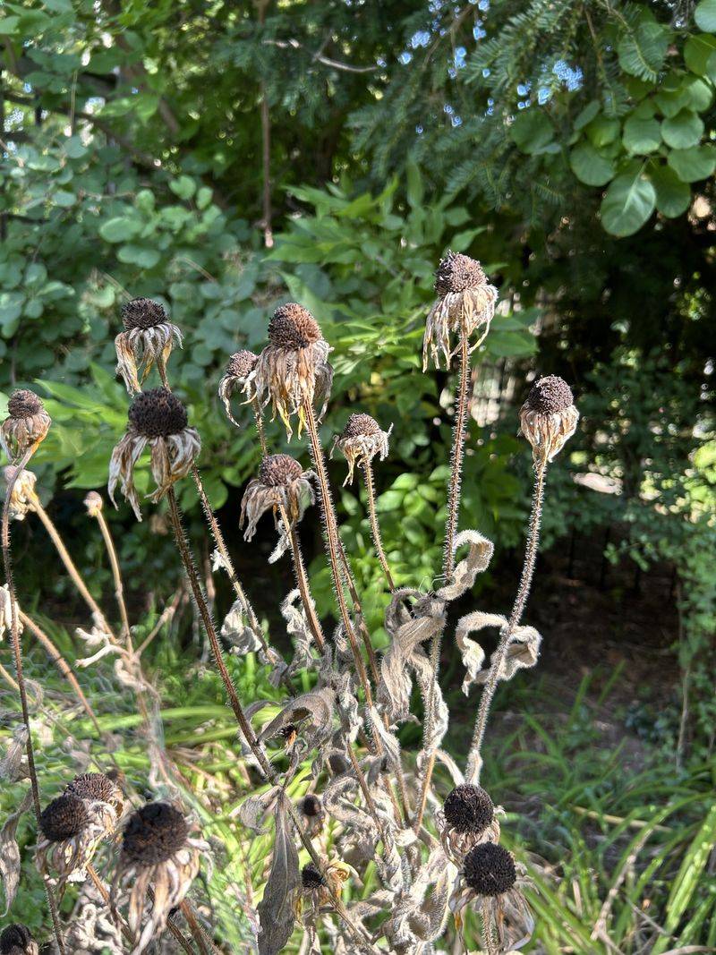 Leave Quiet, Undisturbed Areas