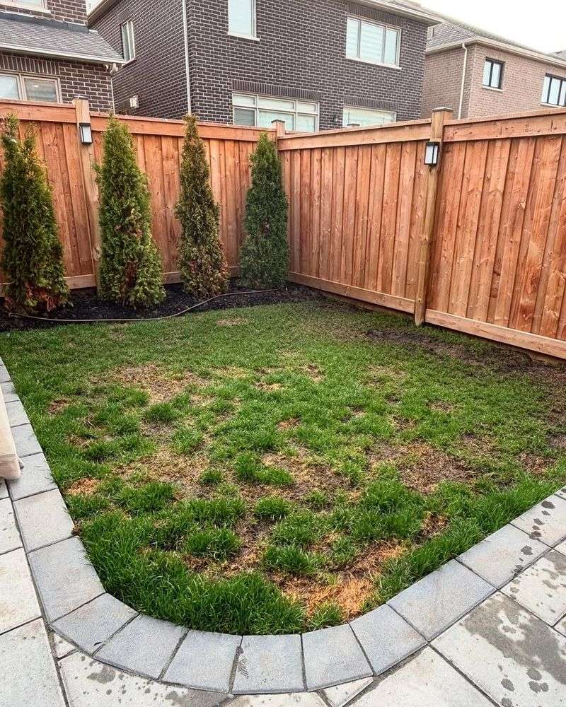 Freshen Up Pet Urine Spots Naturally