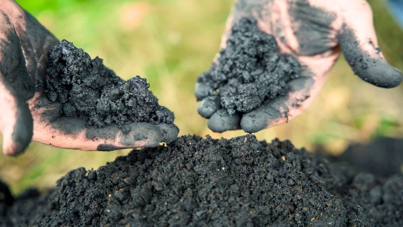Incorporate Biochar Into Your Planting Areas