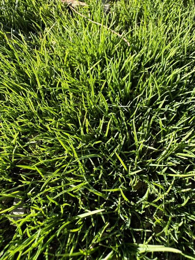 Longer Growing Seasons