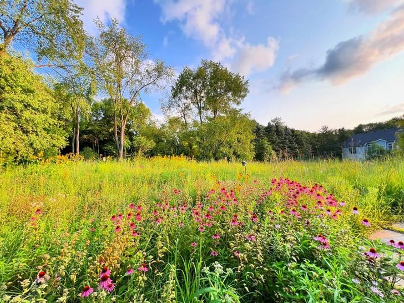 Enhanced Biodiversity