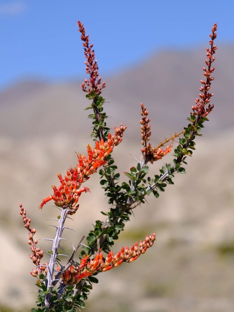 Increased Pollinator Activity Earlier In The Season