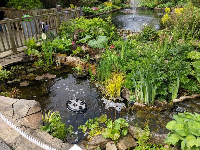 Water Features With Gradual Edges