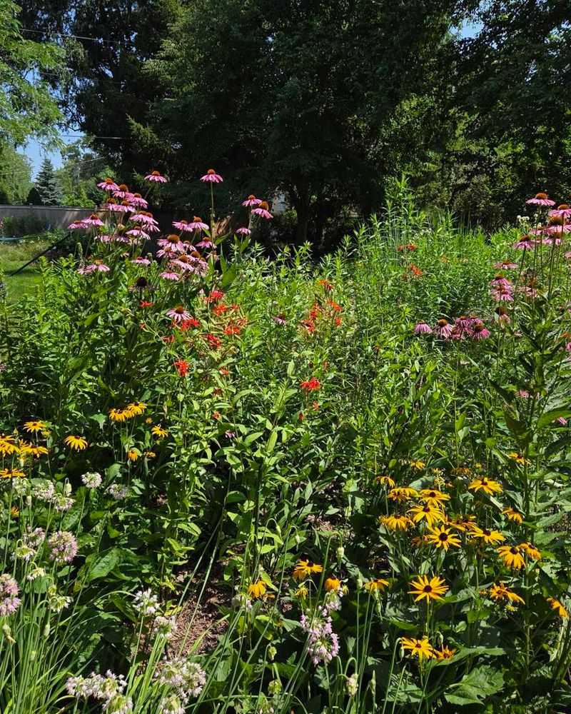 Pollinator Habitats Support Local Ecosystems