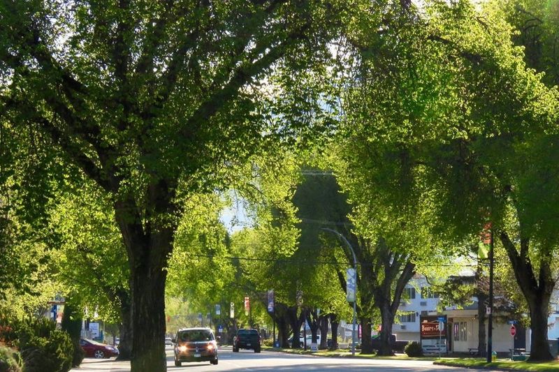 Stronger Community Connections and Pride