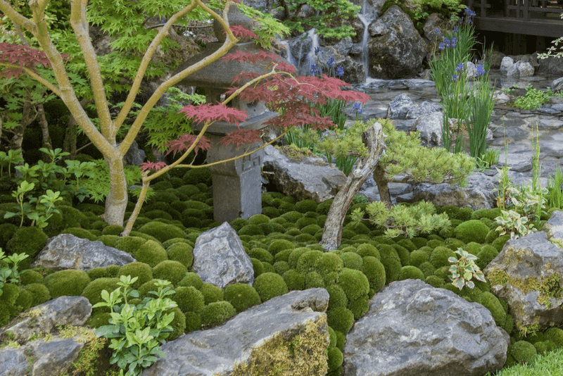 Increases Property Value and Curb Appeal