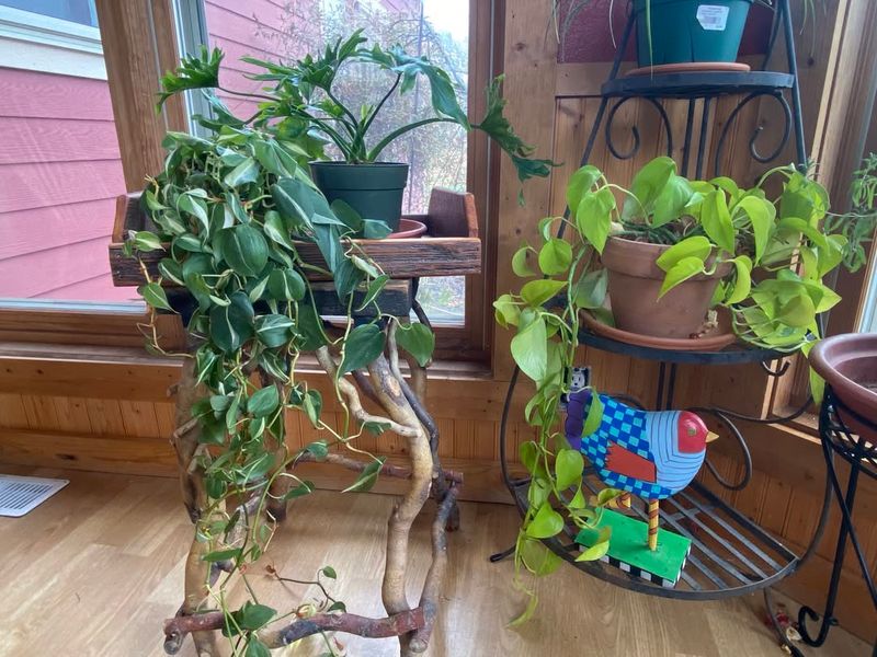 Connects Families Through Shared Activities