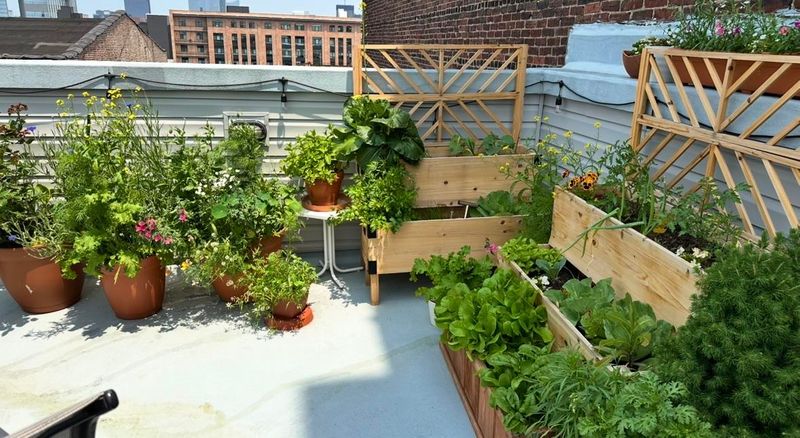 Boosting Property Values and Appeal