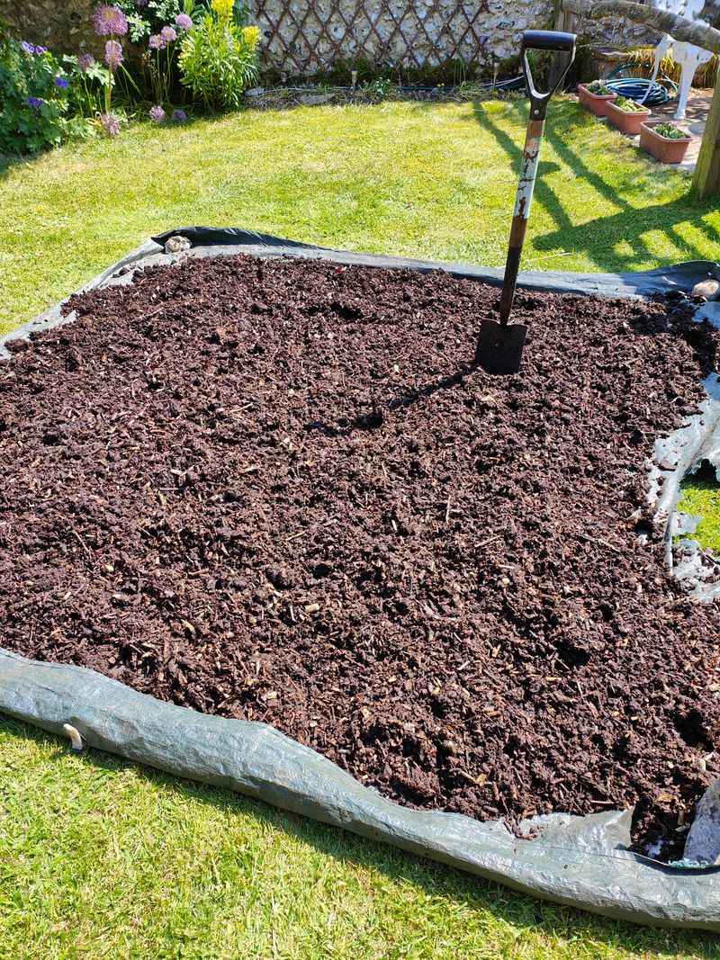 Sunlight Exposure Helps Keep Mulch Surfaces Drier