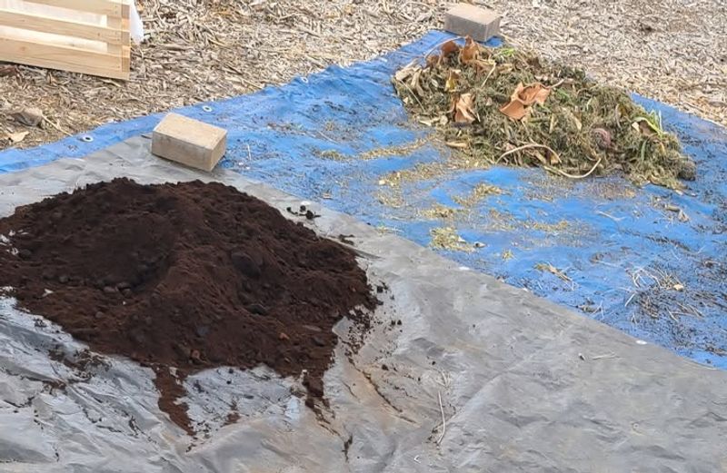 Mulching Benefits For Winter Protection