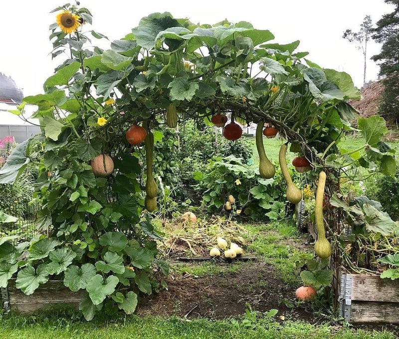 Vegetable Garden Documentation