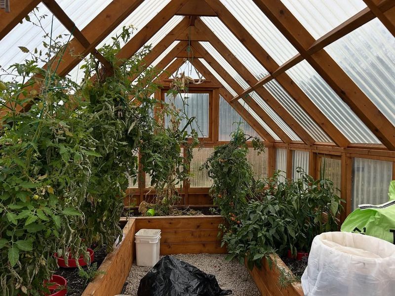 Cold Frames Within Greenhouse