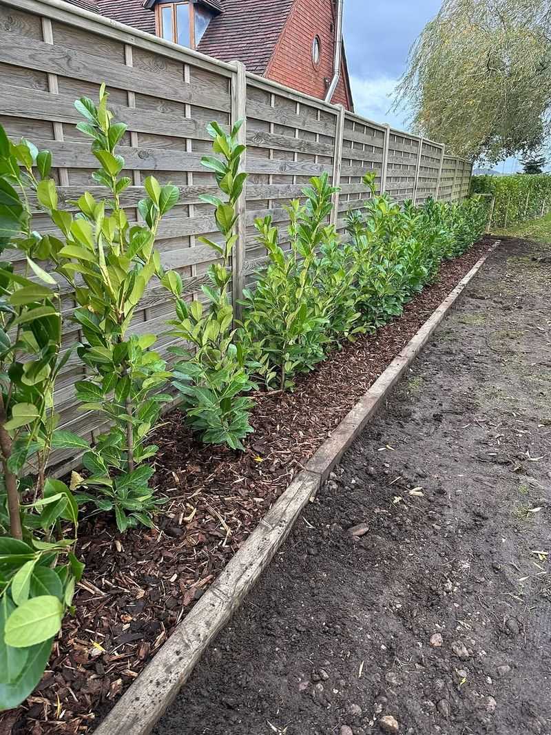 Visibility Triangle Measurements Start From The Curb Line