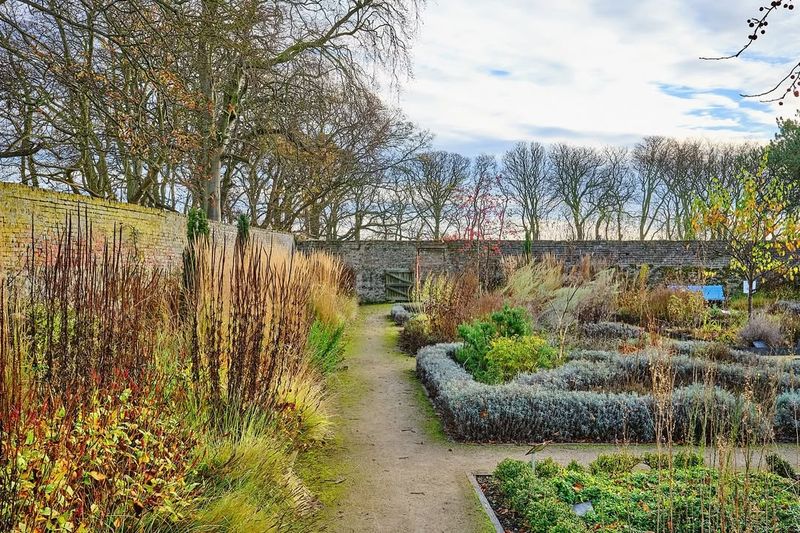 Educational Opportunities Abound