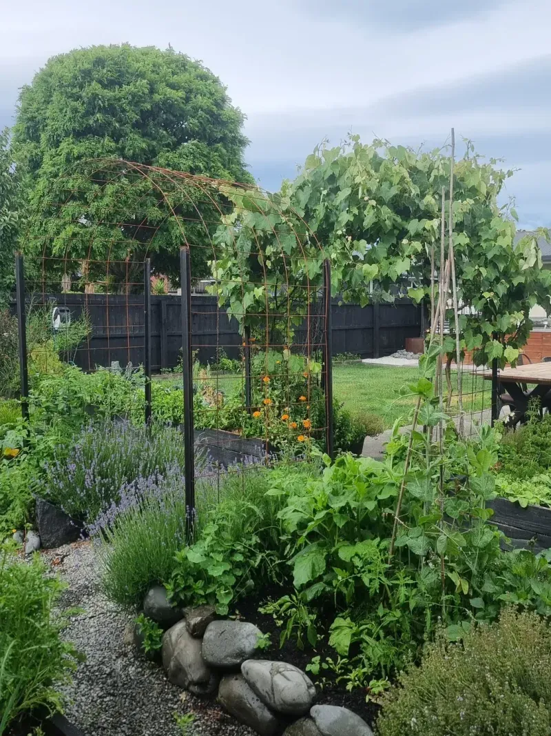 Create Natural Pest Control With Companion Planting