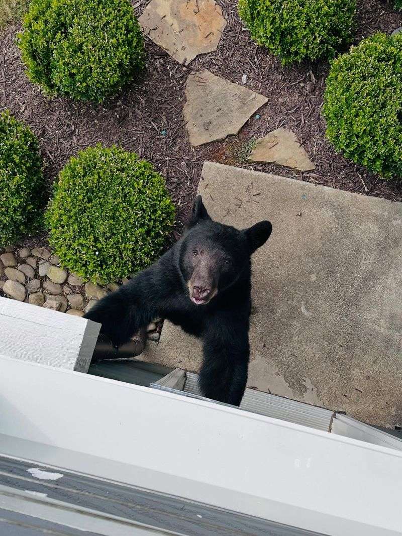 Go Indoors Immediately