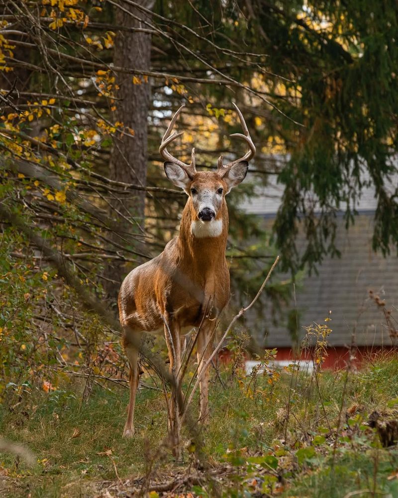Make Noise To Encourage Movement