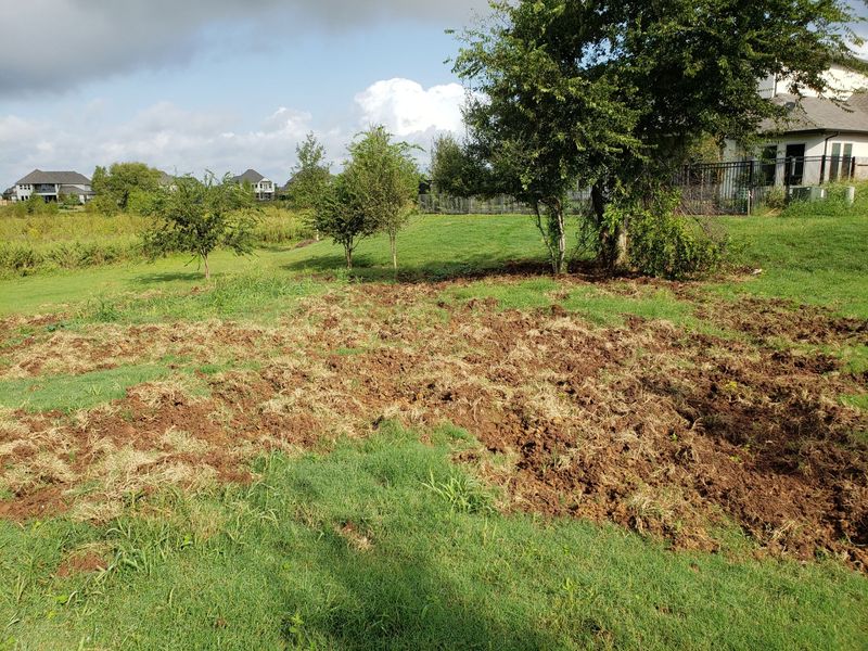 Document The Incident And Any Property Damage