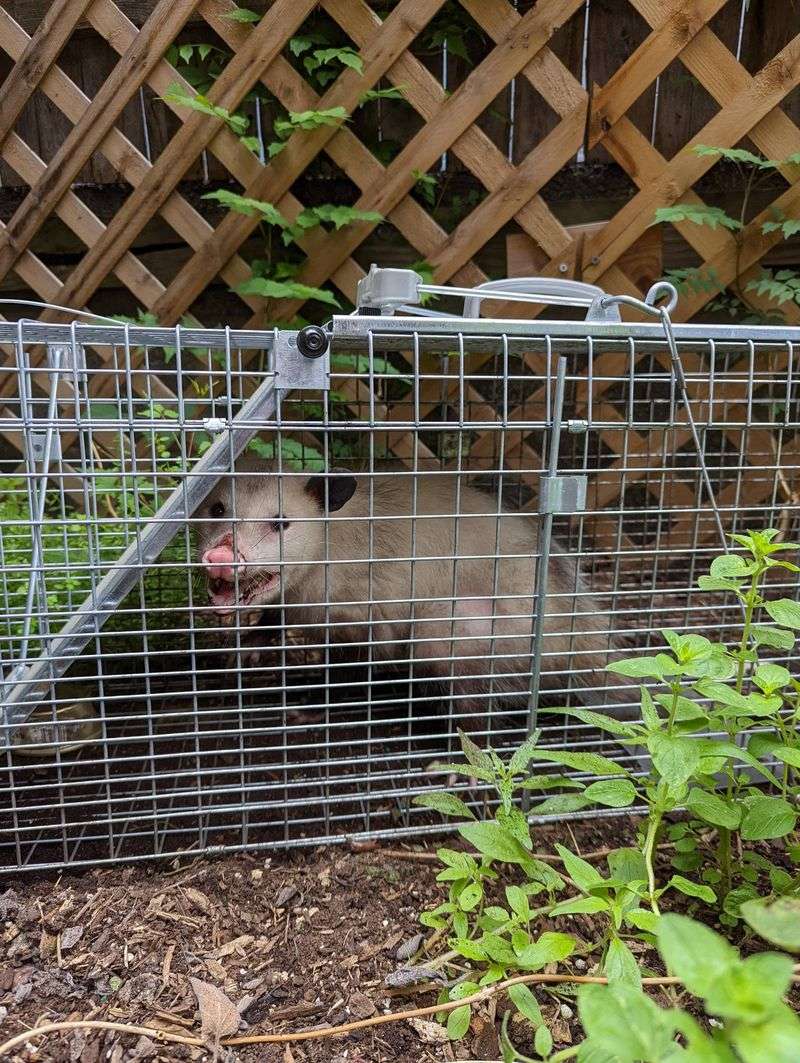 Secure Potential Shelter Spots