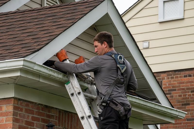 Check For Entry Points Around Your Home