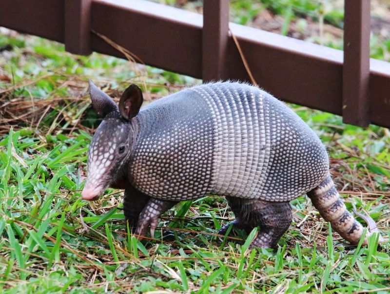 Install Physical Barriers Around Vulnerable Areas