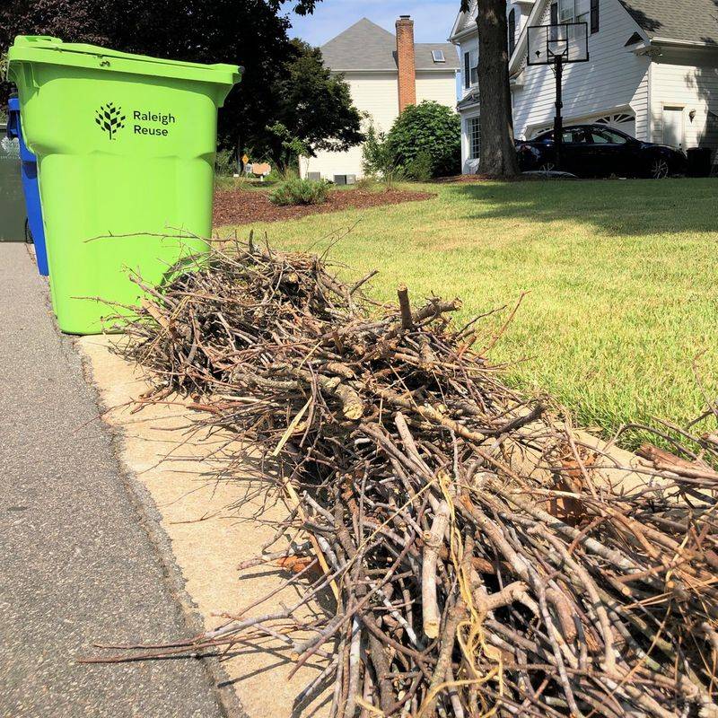 Disposal Of Cut Vines Remains Your Responsibility