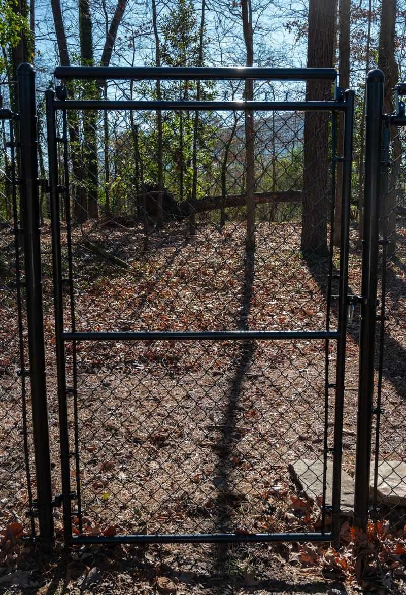 Build Or Repair Fencing To Keep Them Out