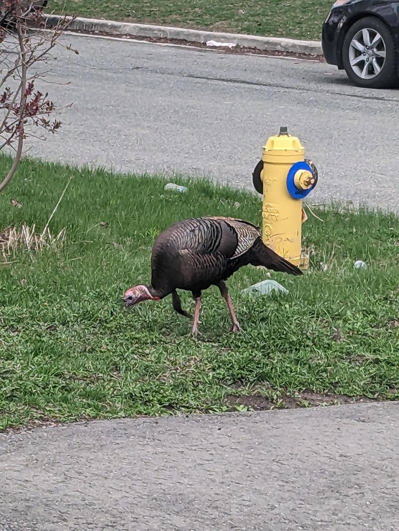 Understand Seasonal Behavior And Patterns