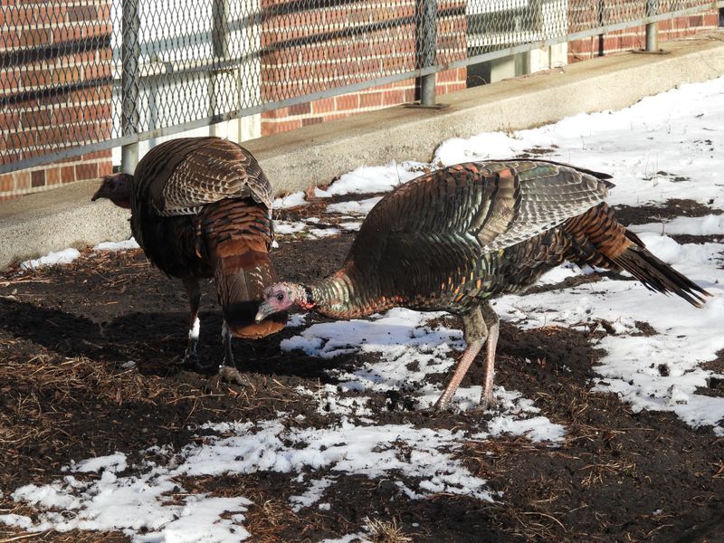 Educate Your Neighbors and Community