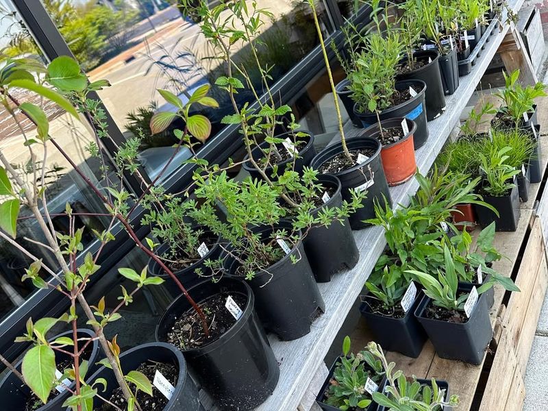 Connects You to Local Gardening Community